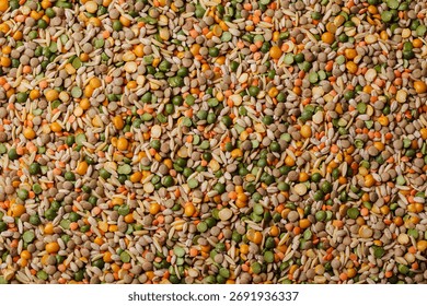 Raw beans of different types background. Lentils, peas, beans, rice mixed together.