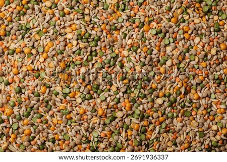 Raw beans of different types background. Lentils, peas, beans, rice mixed together.