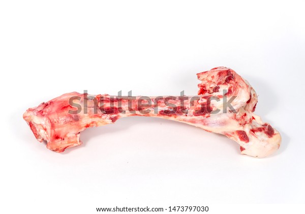 big beef bones for dogs