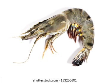 Raw Black Tiger Shrimp On White Background