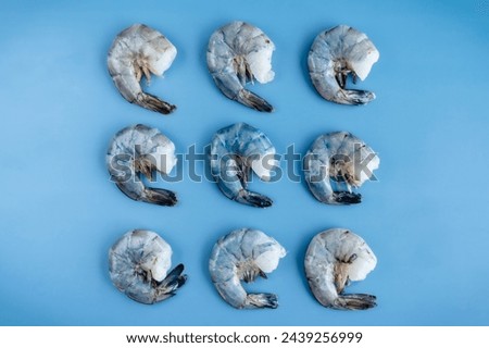 Raw Blue Colossal Shrimp on a Blue Background: Nine uncooked extra large shrimp with shells and tails arranged in a square on a solid blue background