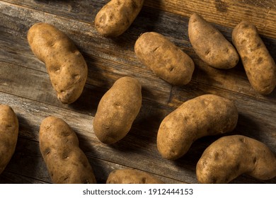 Raw Borwn Organic Russet Potatoes Ready to Cook