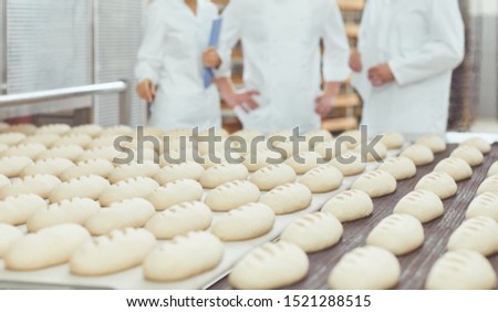 Raw bread is making on the automatic equipment line in the bakery.
