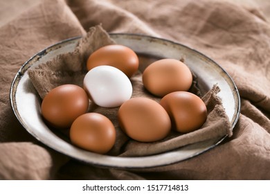 Raw brown eggs with one white egg on plate (Selective Focus, Focus on the front of the white egg)