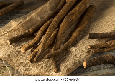 Raw Brown Organic Burdock Root on Burlap