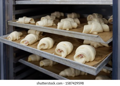 Raw Buns In Proofing Cabinet, Commercial Bakery