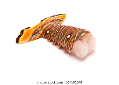 Raw Caribbean ( Bahamas ) rock lobster (Panuliirus argus) or spiny lobster tails isolated on a white studio background.