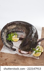 Raw Catfish With Herbs And Spices On Wooden Table