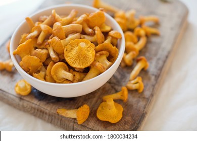 Raw chanterelle mushrooms on a white bowl on wooden background. Food background with yellow mushrooms