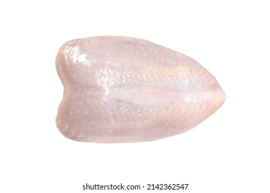 Raw Chicken Breast Isolated On White Background. Fresh Uncooked Part Of Broiler Hen With Skin. Top View.