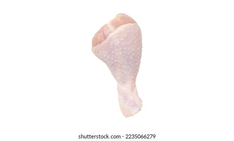 Raw chicken drumstick isolated  on white background