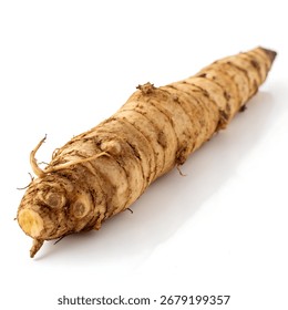 Raw Chicory Root Vegetable Isolated on White Background