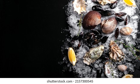 Raw Clams vongole shells, mussels, oysters and lemon with ice on black slate. Fresh shellfish for cooking with seasonings on the table, top view and copy space