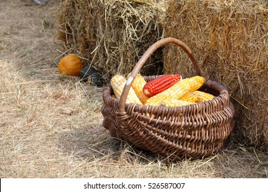 raw corn basket