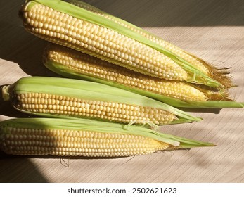 Raw corn. Corn is on the table. Cooking. Background, place for text.  The benefits of corn.