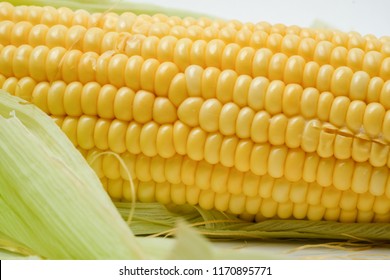 corn spike definition