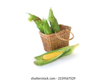 Raw Corncob Or Corn Ear With Leaves In Basket Isolated On White Background. Sweet, Ripe, Fresh Cereal. Ingredient For Healthy Wholesome Food. Seasonal Crop Harvested In The Fields.