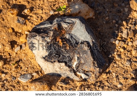 Raw dark flint stone with sharp edges and textured surface resting on dry sandy ground of a sunny quarry