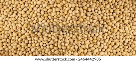 Raw dehydrated soybeans texture background top view. Dry soybeans pattern, soya beans flat lay mockup