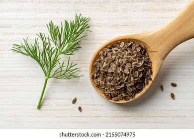 Raw dill seeds in a wooden spoon and sprig of fresh green dill on a rustic wooden table. Cooking with natural spices and seasonings. Anethum graveolens fruits for herbal medicine concept. Top view.