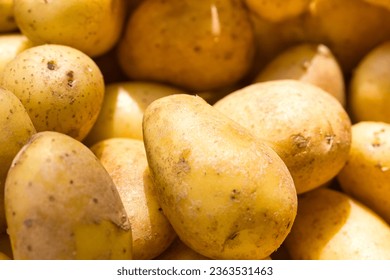 Raw dirty potatoes at the farmer's market on a sunny day - Shutterstock ID 2363531463