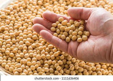 Raw dried soybeans, Organic cultivation