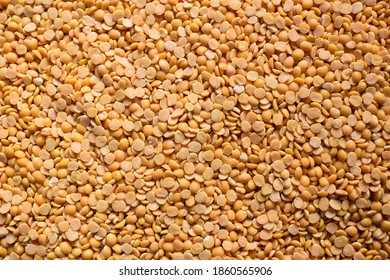 Raw Dry Split Pigeon Pea Lentils