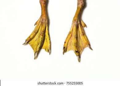 Raw Duck Feet. Food Ingredient