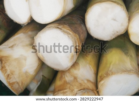 Raw eatable bamboo as background