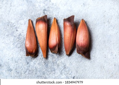Raw edible Chilean patagonian pinones pine nuts of pine or monkey puzzle tree Araucaria araucana
