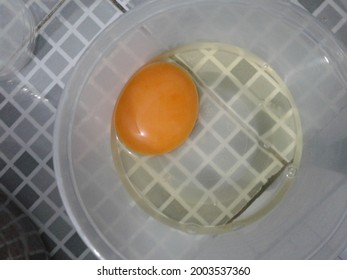 A Raw Egg For Making Omelette