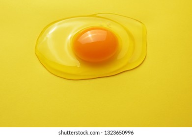 Raw Egg Yolk On The Yellow Background