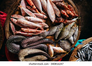 Raw Exotic Fish Assortment With Moray At Asian Market Top View In Vietnam