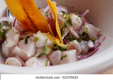 Raw Fish Ceviche With Plantain Chips