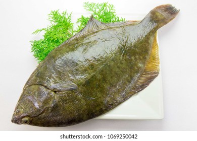 Raw fish Flatfish