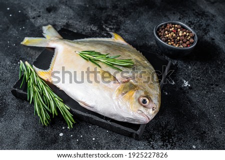 Raw fish pompano with herbs on a marble board. Black background. Top view
