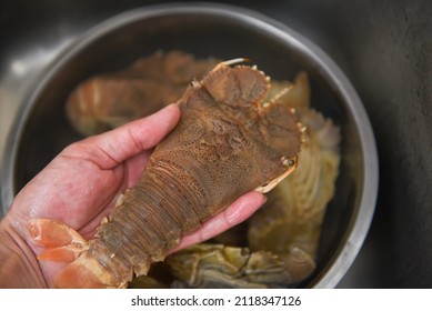 Raw flathead lobster shrimps on hand, fresh slipper lobster flathead for cooking food, Rock Lobster Moreton Bay Bug