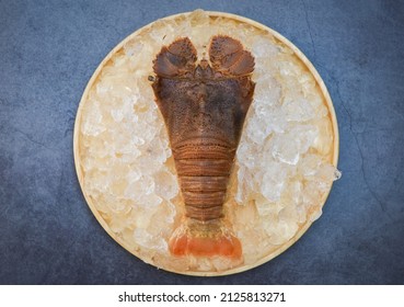 Raw flathead lobster shrimps on ice, fresh slipper lobster flathead for cooking on dark background in the seafood restaurant or seafood market, Rock Lobster Moreton Bay Bug
