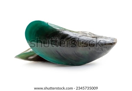 Raw food of fresh beautiful green mussels in stack is isolated on white background with clipping path