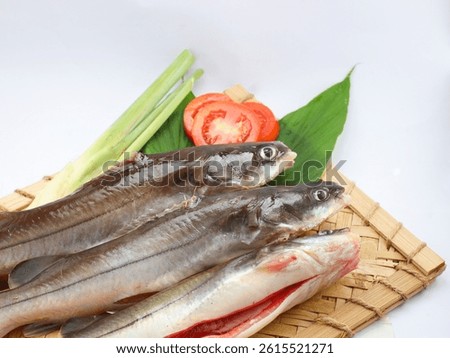 Raw an fresh Asian redtail catfish or baung fish before cooking isolated on white background