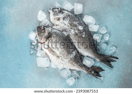 Raw fresh dorado or sea bream on ice cubes on blue concrete background. Long banner format. top view,