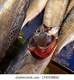 Raw Fresh Fish With Red Gills At The Street Market. Mackerel With Splayed Gills. Close Up, Selective Focus