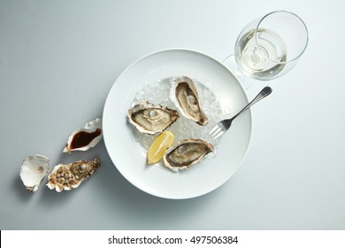 Raw Fresh Oyster Shellfish