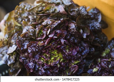 Raw Fresh Romaine Lettuce In Fresh Market