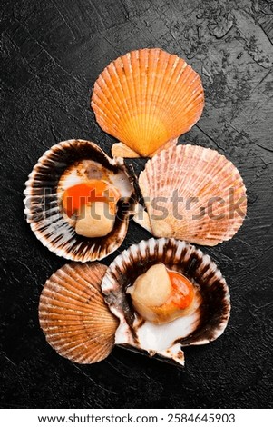 Raw fresh scallops in the shell. Close-up on a dark stone background. Vertical photo. Top view.