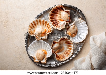 Raw fresh scallops in the shell served on a plate with ice, ready to be cooked, light background.