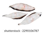 Raw fresh steak fish halibut on the stone table. Isolated on white background