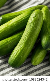 Raw Green Organic Baby Cucumbers Ready to Eat