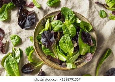 Raw Green Organic Baby Romaine Lettuce In A Bowl