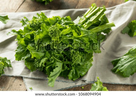 Raw Green Organic Broccoli Rabe Ready to Cook Foto stock © 